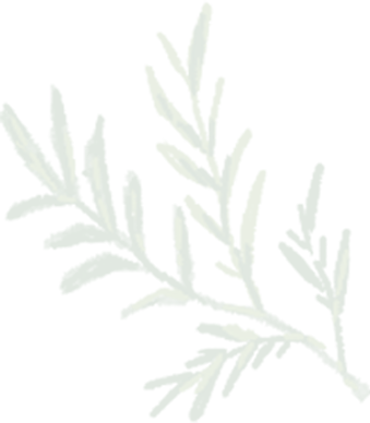 background image 12