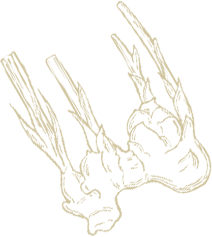 background image 8