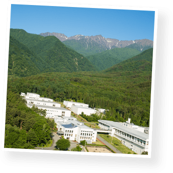 kourai section image 6