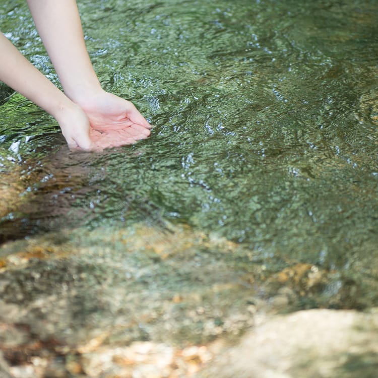 kourai section image 5