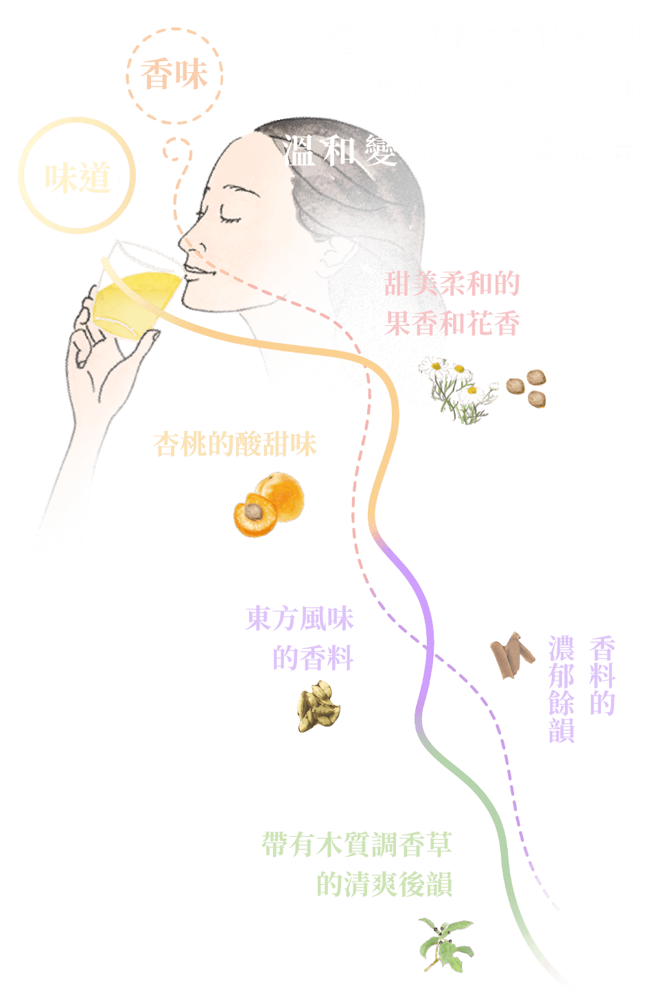 megumi section image 2